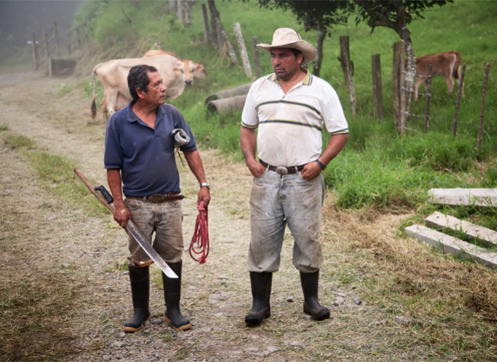 Homestay, Costa Rica