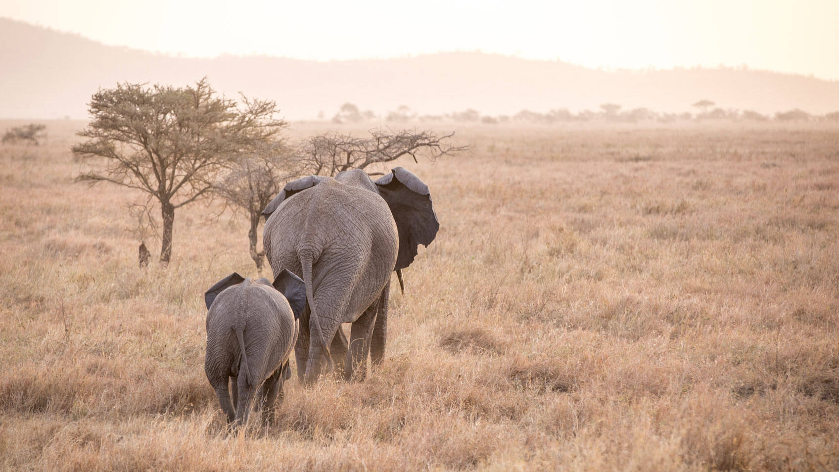 east-africa-slider-img3