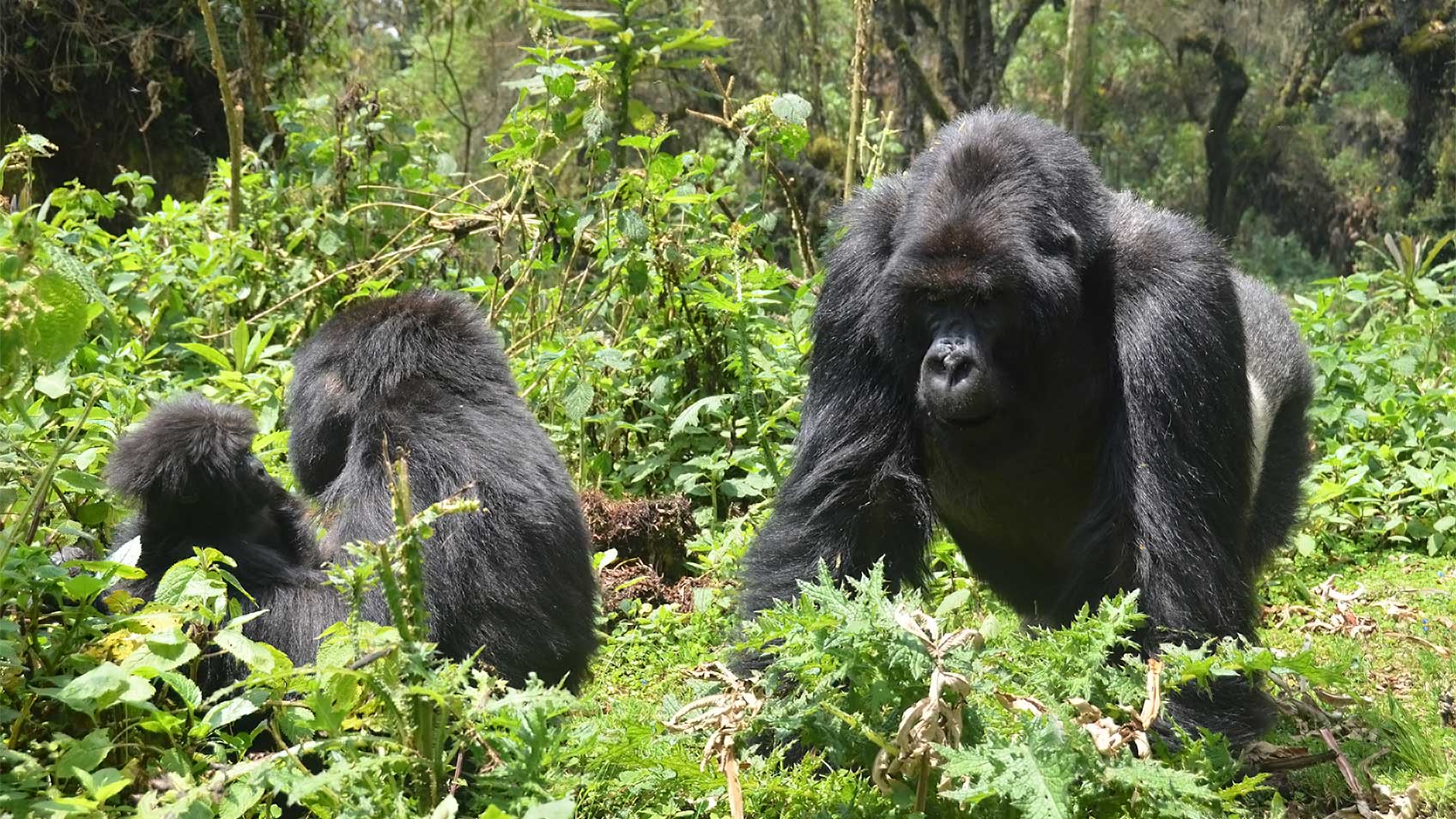 east-africa-slider-img4