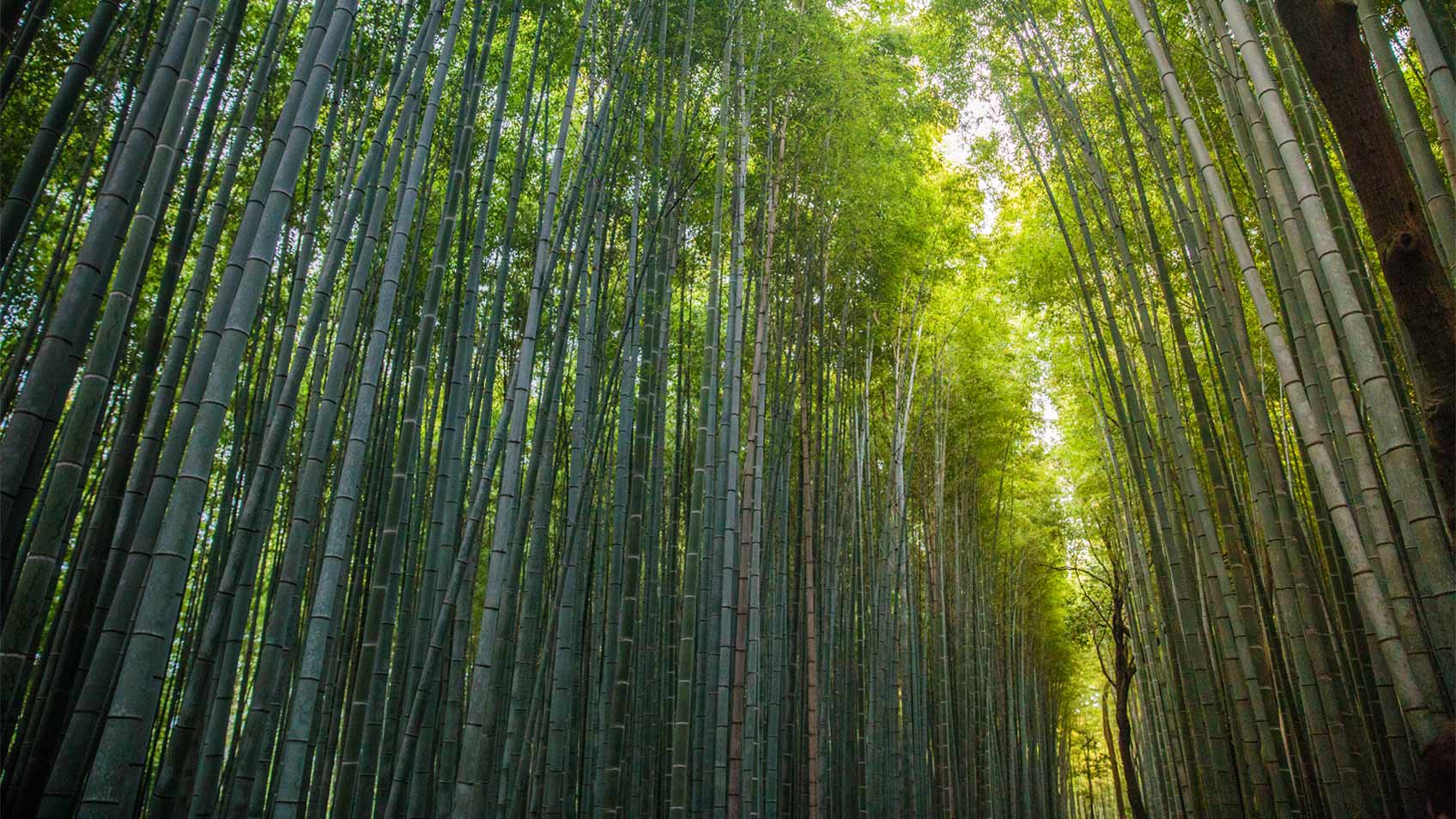 north-asia-slider-img4