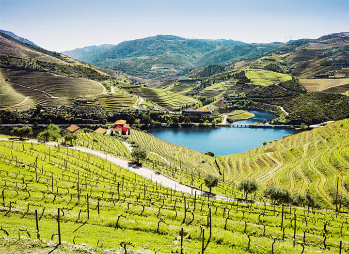 Wine Tasting, Portugal