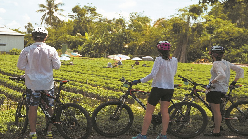 vietnam-cycling-group