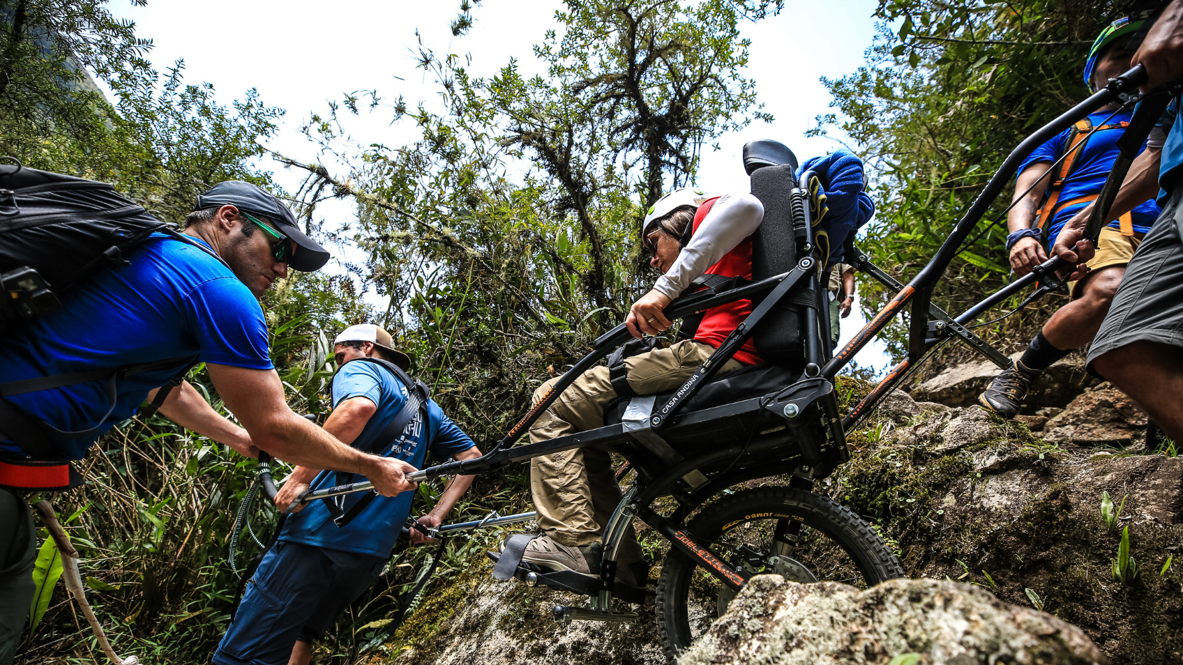 Navigating the trail